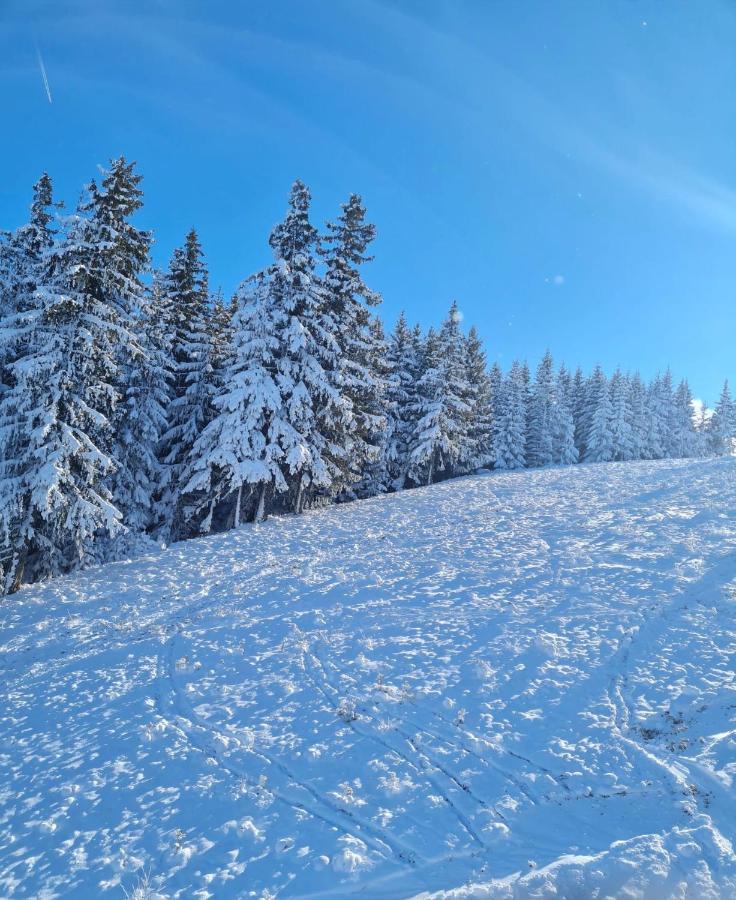 Flora Ski-Slope Studio Apartment Borovec Exteriér fotografie